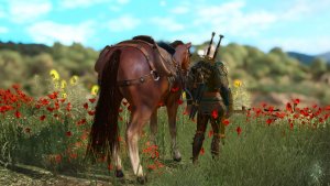 ПЕЙЗАЖНОЕ с Геральтом. Ведьмак III (сборка Торна)