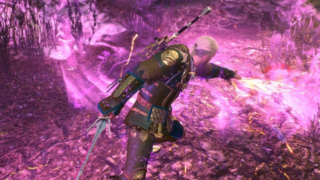 The Witcher 3 Screenshot 2025.12.27 - 18.48.45.46.jpg