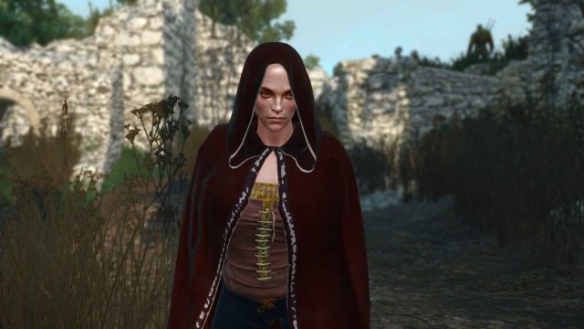 The Witcher 3 Screenshot 2025.11.12 - 21.18.33.00.jpg