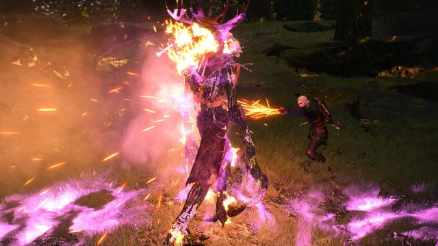 The Witcher 3 Screenshot 2025.11.12 - 21.20.21.90.jpg