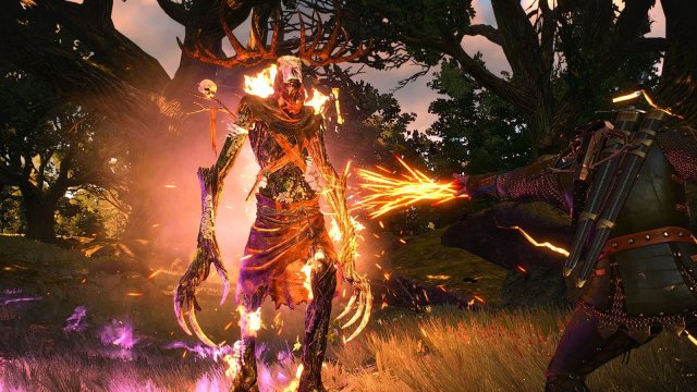 The Witcher 3 Screenshot 2025.11.12 - 21.19.52.48.jpg