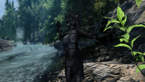 The Elder Scrolls V  Skyrim Special Edition Screenshot 2026.01.14 - 09.39.53.33.png