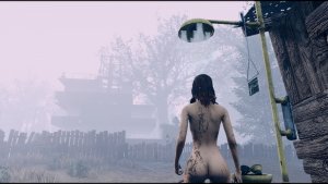 Неванильное поселение.. Poselenia Windfire Fallout-4