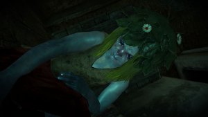 Прибожек. (не относиться к монстрам) Ведьмак III (сборка Торна)