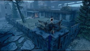 Мистические сосны.