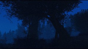 Дубы-колдуны. ) Fallout-4 (Сборка 11)